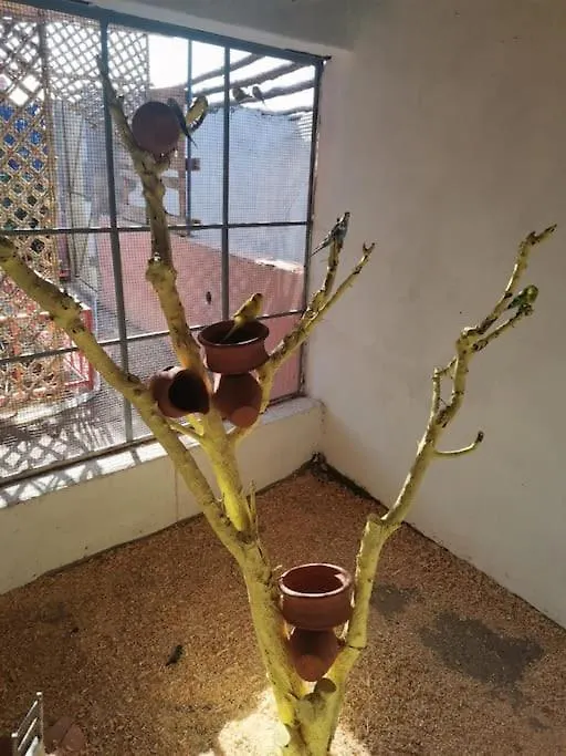 Marrakech Luxury Villa Farm Marrakesh