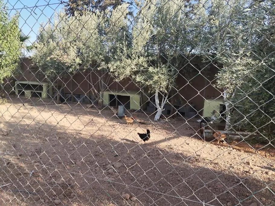 Marrakech Luxury Villa Farm Marrakesh