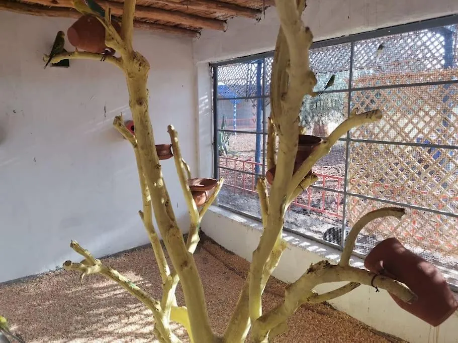 Marrakech Luxury Villa Farm Marrakesh 0*,  Marruecos