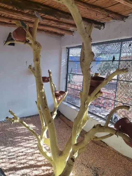 Marrakech Luxury Villa Farm Marrakesh 0*,  Marruecos