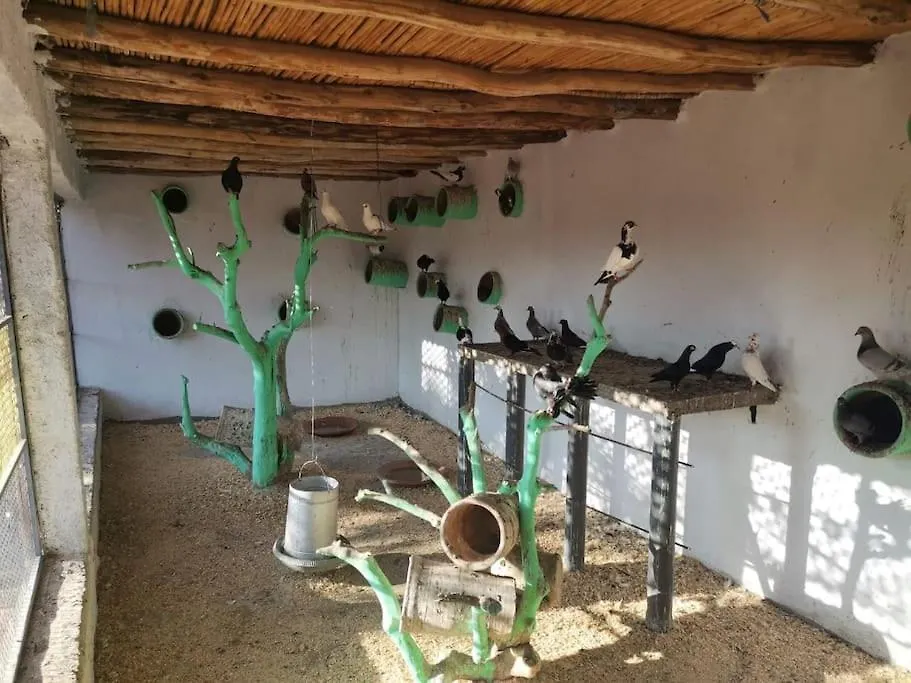 Marrakech Luxury Villa Farm Marrakesh