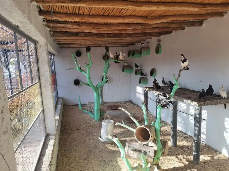 Marrakech Luxury Villa Farm Marrakesh 0*,