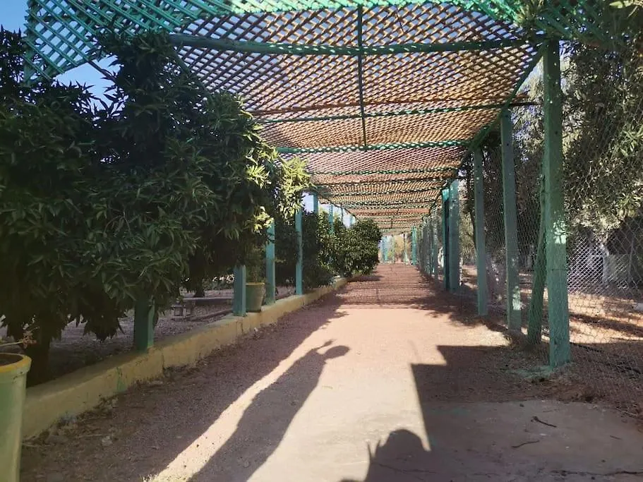 Marrakech Luxury Villa Farm Marrakesh