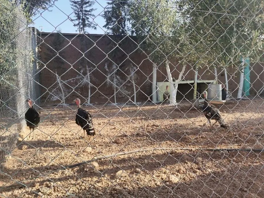 Marrakech Luxury Villa Farm Marrakesh