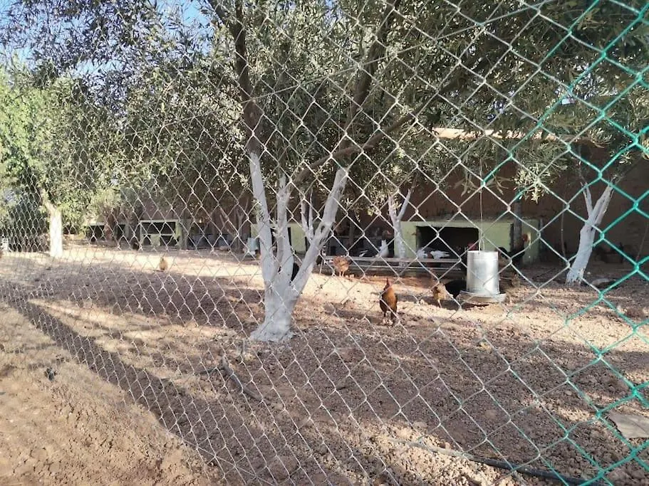 Marrakech Luxury Villa Farm Marrakesh 0*,  Marruecos