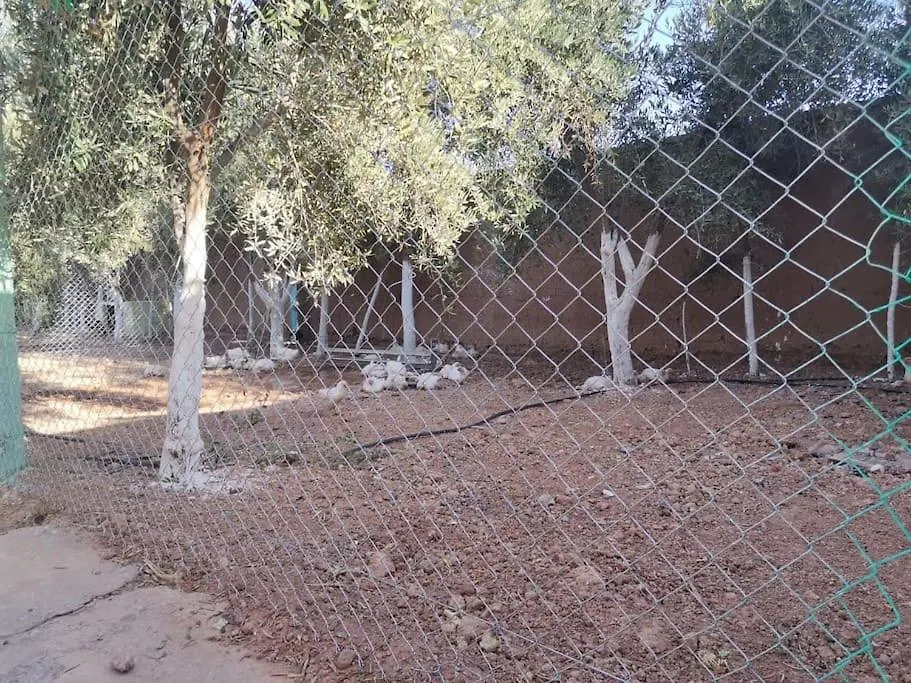 Marrakech Luxury Villa Farm Marrakesh